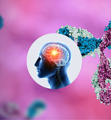 Overview Complement Therapeutics